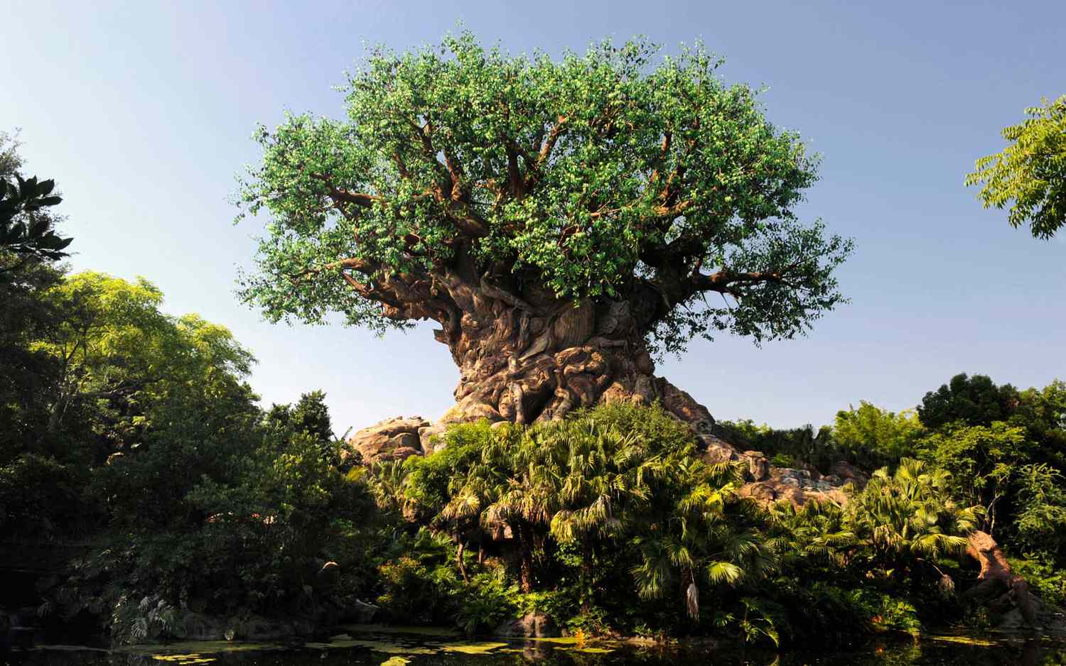 Disney's Animal Kingdom