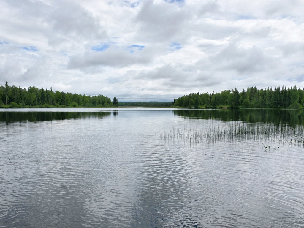 Family-friendly Johnson Lake in Alaska with sandy shores and clear waters