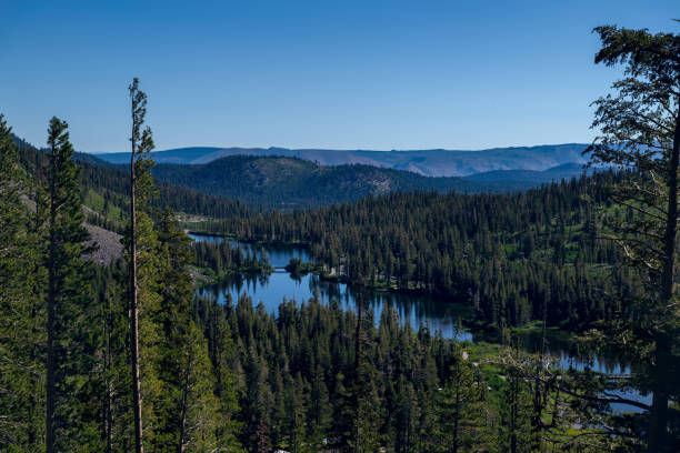 Twin Lakes with scenic forest and mountain views in Alaska