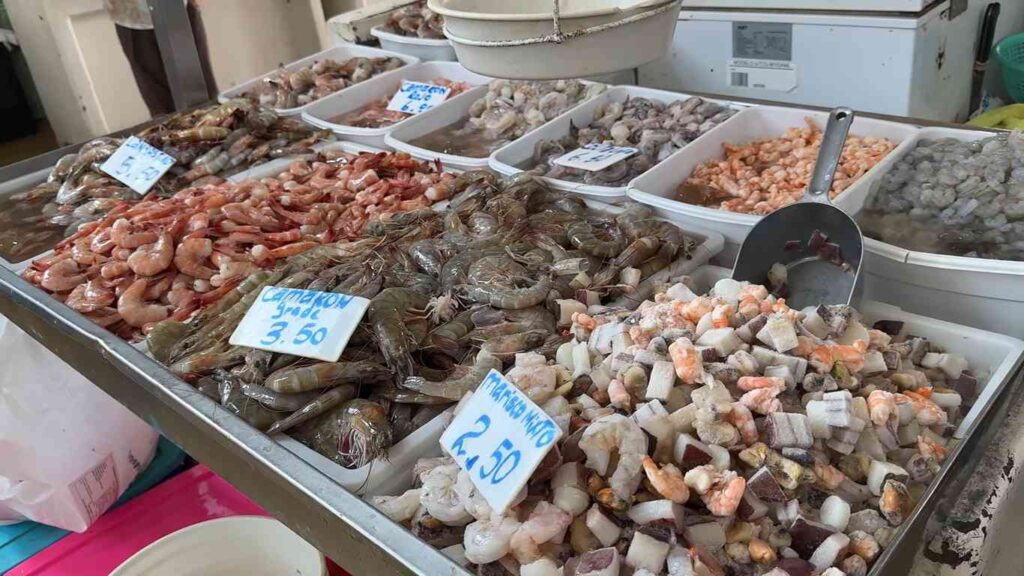 Fresh shrimp, fish, and seafood varieties at Mercado de mariscos
